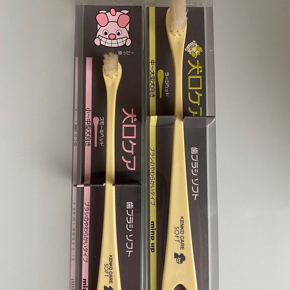 犬口ケア歯ブラシ　ソフトラージ