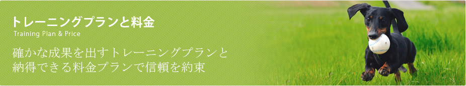 トレーニング方法 人とイヌとが心で会話する・・・ オーナーさんと、愛犬の為のトレーニングです。