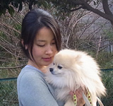 Dog index　Sunao　（浜口　素直）