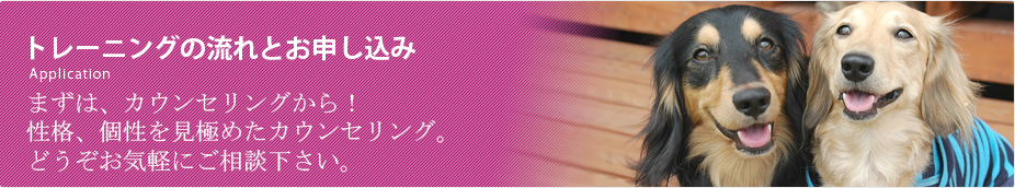 トレーニングの流れとお申し込み まずは、カウンセリングから！  性格、個性を見極めたカウンセリング。  どうぞお気軽にご相談下さい。  