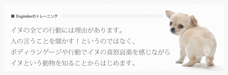 Dogindexのトレーニング イヌの全ての行動には理由があります。 人の言うことを聞かす!というのではなく、 ボディランゲージや行動でイヌの喜怒哀楽を感じながら イヌという 動物を知ることからはじめます。